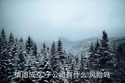 請(qǐng)問成立 子公司有什么 風(fēng)險(xiǎn)嗎