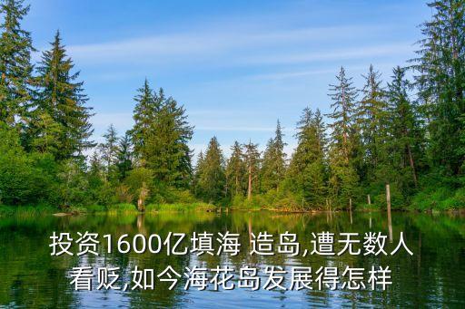 投資1600億填海 造島,遭無(wú)數(shù)人看貶,如今?；◢u發(fā)展得怎樣