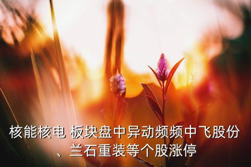 核能核電 板塊盤中異動(dòng)頻頻中飛股份、蘭石重裝等個(gè)股漲停