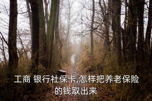  工商 銀行社?？?怎樣把養(yǎng)老保險(xiǎn)的錢取出來(lái)