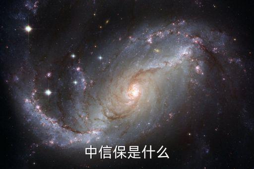 中國出口信用保險公司內部審計工作暫行規(guī)定
