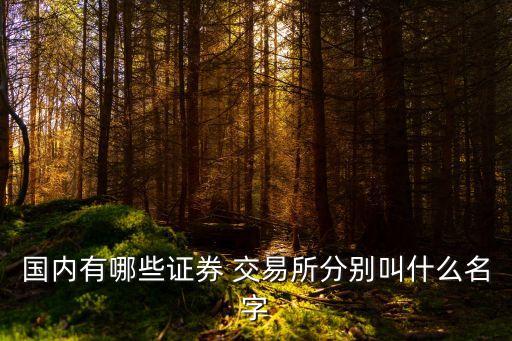 國內有哪些證券 交易所分別叫什么名字