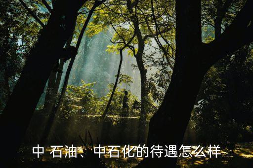 中 石油、中石化的待遇怎么樣