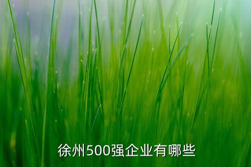  徐州500強企業(yè)有哪些