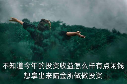 不知道今年的投資收益怎么樣有點(diǎn)閑錢(qián)想拿出來(lái)陸金所做做投資