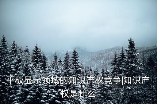 平板顯示領(lǐng)域的知識(shí)產(chǎn)權(quán)競爭|知識(shí)產(chǎn)權(quán)是什么