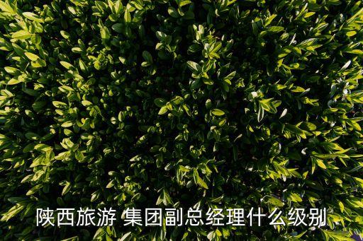 陜西旅游 集團(tuán)副總經(jīng)理什么級(jí)別