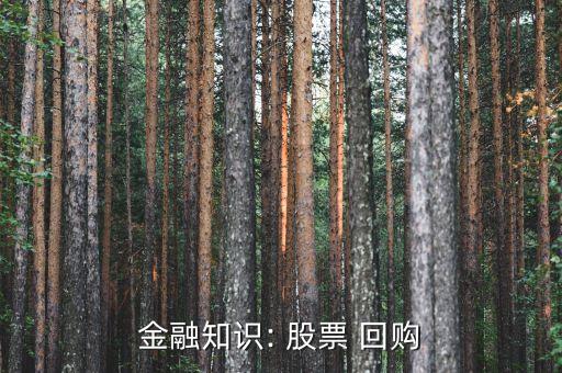 金融知識(shí): 股票 回購