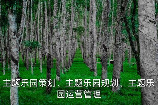 主題樂園策劃、主題樂園規(guī)劃、主題樂園運營管理