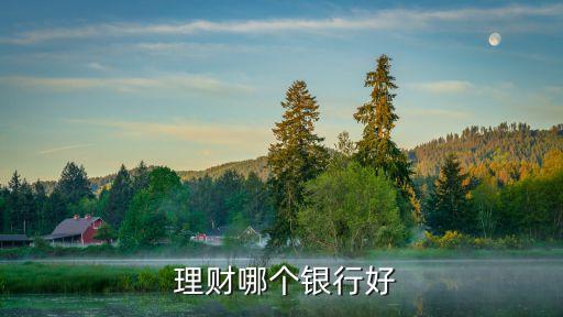  理財(cái)哪個銀行好
