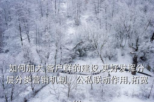 如何加大 客戶群的建設(shè),更好發(fā)揮分層分類營銷機(jī)制、公私聯(lián)動作用,拓寬...