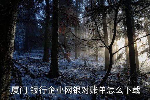  廈門(mén) 銀行企業(yè)網(wǎng)銀對(duì)賬單怎么下載