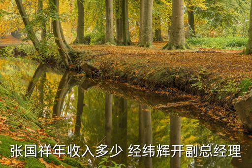 張國祥年收入多少 經緯輝開副總經理