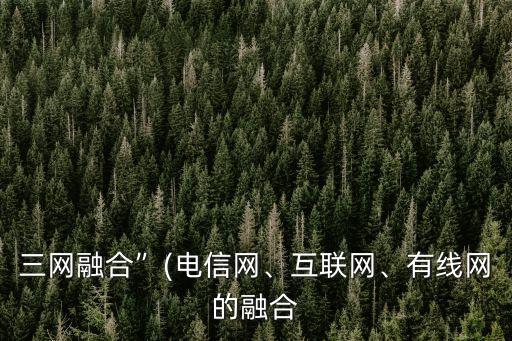 三網(wǎng)融合”(電信網(wǎng)、互聯(lián)網(wǎng)、有線網(wǎng)的融合