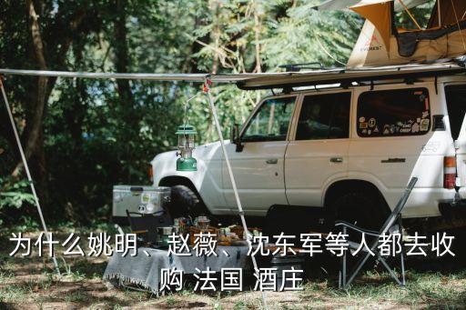 為什么姚明、趙薇、沈東軍等人都去收購 法國 酒莊