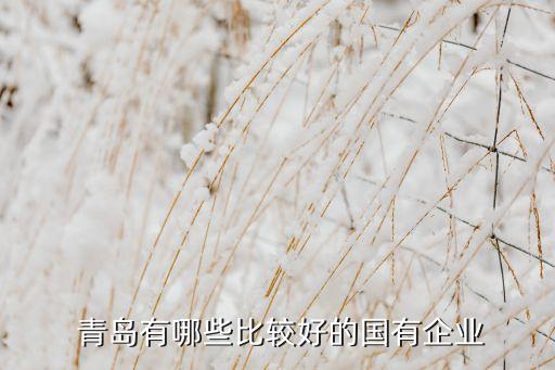 青島銀海旅游集團(tuán)公司,漢中市銀海房地產(chǎn)企業(yè)集團(tuán)公司