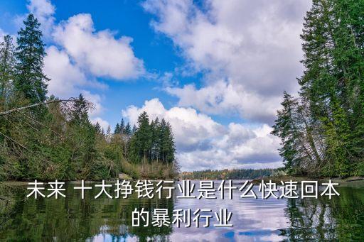  未來(lái) 十大掙錢(qián)行業(yè)是什么快速回本的暴利行業(yè)