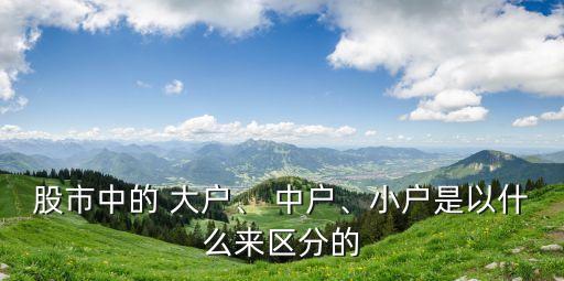 股市中的 大戶、 中戶、小戶是以什么來區(qū)分的
