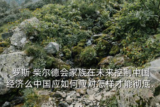  羅斯 柴爾德會(huì)家族在未來控制中國經(jīng)濟(jì)么中國應(yīng)如何應(yīng)對怎樣才能徹底...