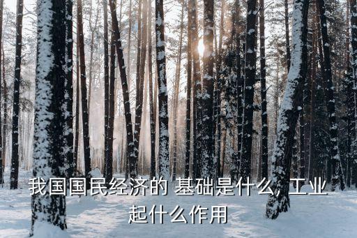 我國國民經(jīng)濟的 基礎是什么, 工業(yè)起什么作用