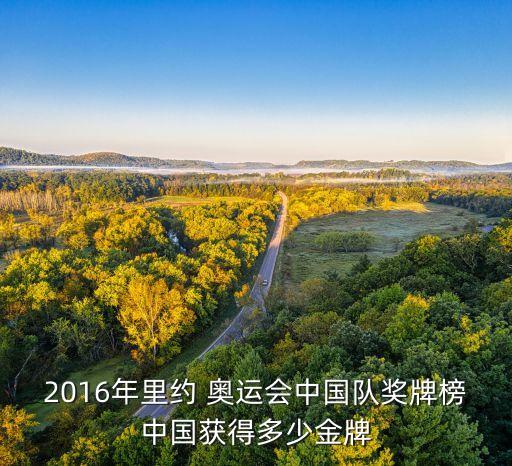 2016年里約 奧運(yùn)會中國隊(duì)獎牌榜中國獲得多少金牌
