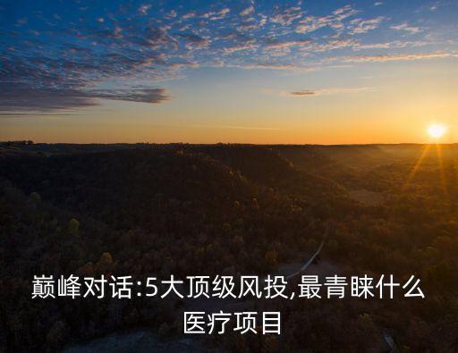 巔峰對話:5大頂級風(fēng)投,最青睞什么 醫(yī)療項目
