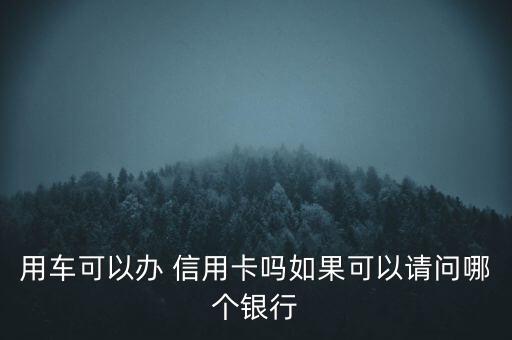 用車可以辦 信用卡嗎如果可以請(qǐng)問(wèn)哪個(gè)銀行