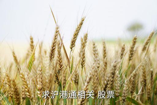 求滬港通相關 股票