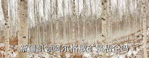 新疆凱領阿爾格敏礦是私企嗎