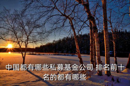 2012中國股權投資年度排名,中國股權投資年度排名榜單