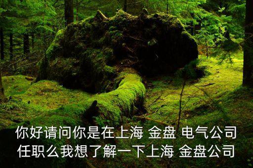 金盤(pán)電氣股票代碼,哈爾濱電氣集團(tuán)股票代碼