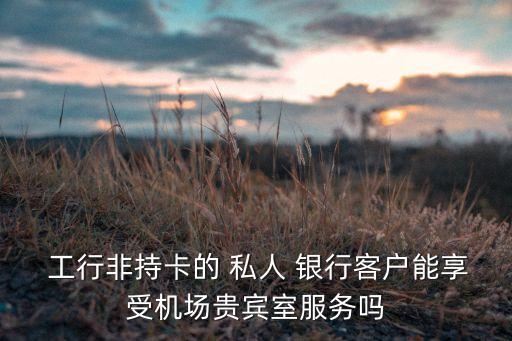  工行非持卡的 私人 銀行客戶能享受機(jī)場(chǎng)貴賓室服務(wù)嗎