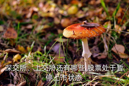 深交所、上交所還有哪些 股票處于暫停上市狀態(tài)