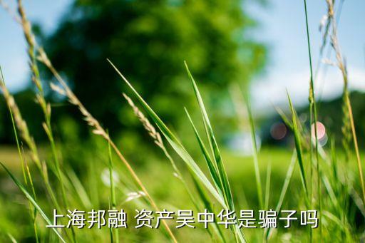 陸家嘴野村資產(chǎn)管理公司,野村資產(chǎn)管理株式會(huì)社