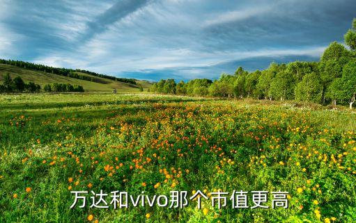  萬達(dá)和vivo那個市值更高