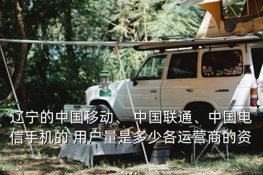 遼寧的中國移動、 中國聯(lián)通、中國電信手機的 用戶量是多少各運營商的資...