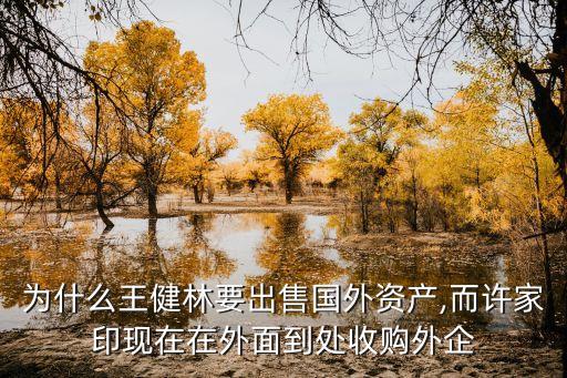 為什么王健林要出售國外資產,而許家印現(xiàn)在在外面到處收購外企