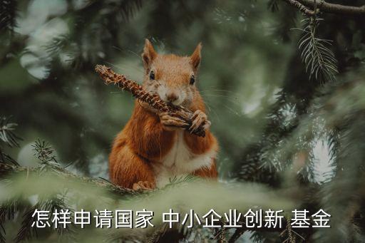 怎樣申請(qǐng)國家 中小企業(yè)創(chuàng)新 基金