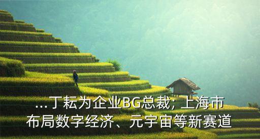 ...丁耘為企業(yè)BG總裁; 上海市布局?jǐn)?shù)字經(jīng)濟(jì)、元宇宙等新賽道