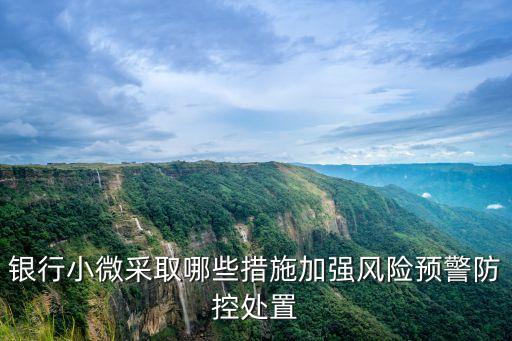 銀行小微采取哪些措施加強風(fēng)險預(yù)警防控處置