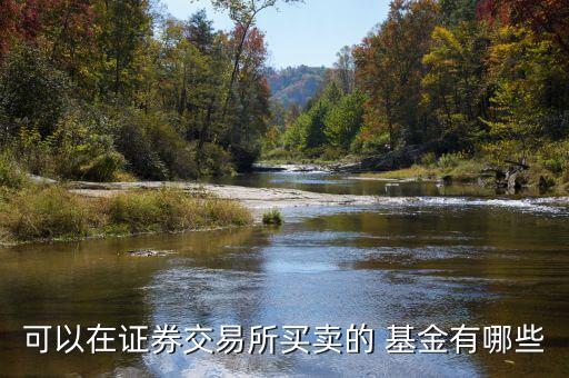 二級市場基金有哪些,基金的二級市場什么意思