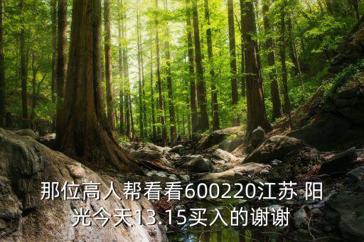 那位高人幫看看600220江蘇 陽(yáng)光今天13.15買入的謝謝