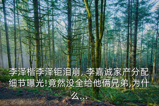 李澤楷李澤鉅淚崩, 李嘉誠(chéng)家產(chǎn)分配細(xì)節(jié)曝光!竟然沒(méi)全給他倆兄弟,為什么...