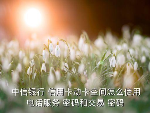  中信銀行 信用卡動卡空間怎么使用電話服務(wù) 密碼和交易 密碼