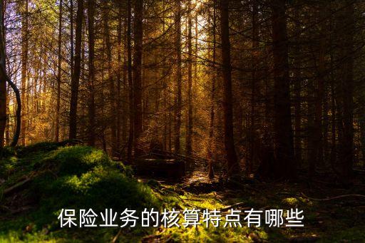 保險業(yè)務(wù)的核算特點(diǎn)有哪些