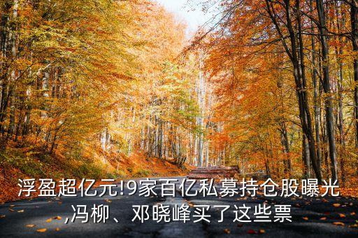 浮盈超億元!9家百億私募持倉股曝光,馮柳、鄧曉峰買了這些票