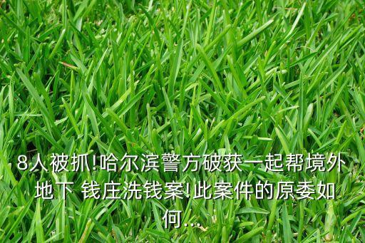 8人被抓!哈爾濱警方破獲一起幫境外 地下 錢(qián)莊洗錢(qián)案!此案件的原委如何...