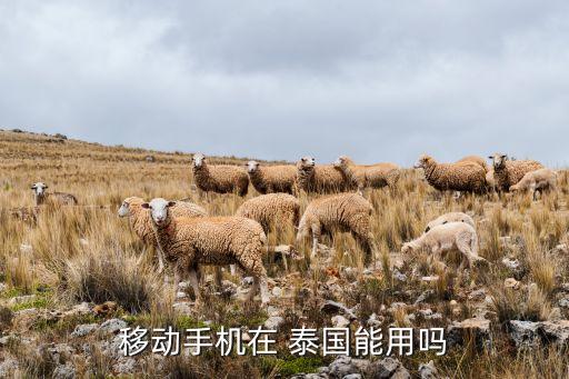 移動手機在 泰國能用嗎
