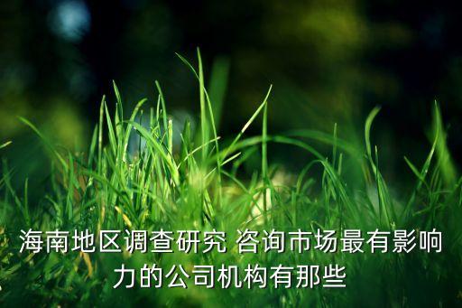 海南地區(qū)調(diào)查研究 咨詢市場最有影響力的公司機構(gòu)有那些