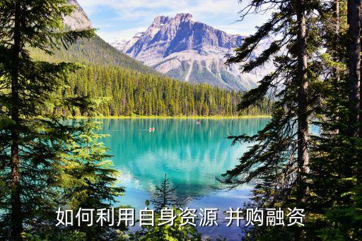 并購基金模式ppt,上市公司并購基金